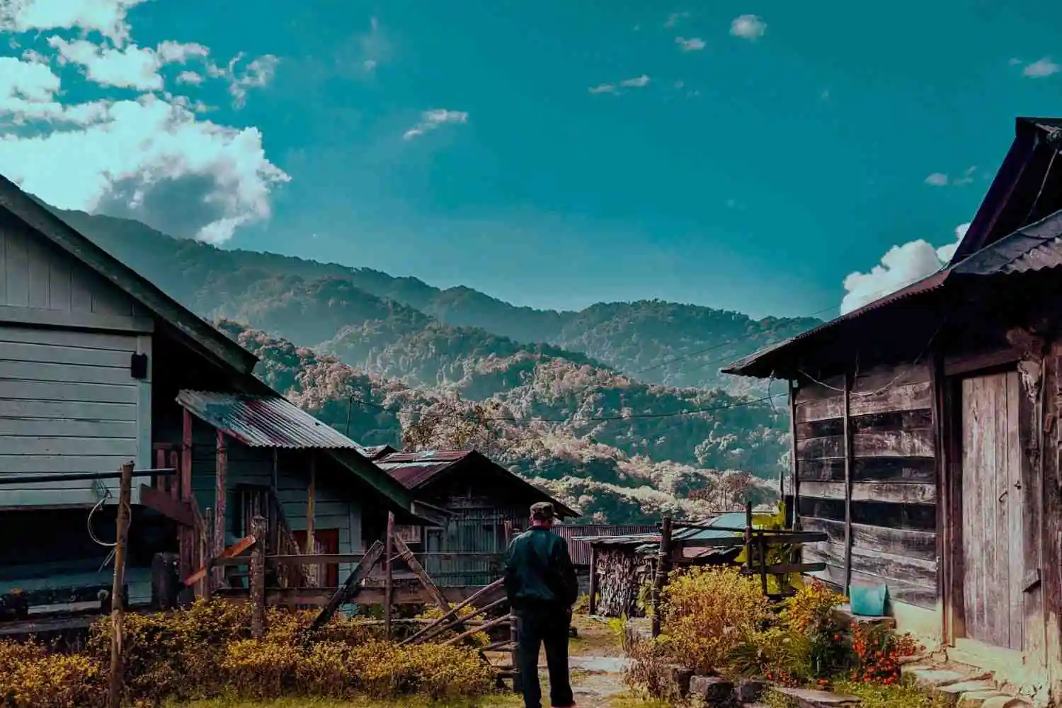 Unplugged Nagaland: Kapamodzu & Dzukou